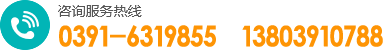0391-3299600